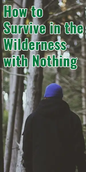 How To Survive In The Wilderness With Nothing